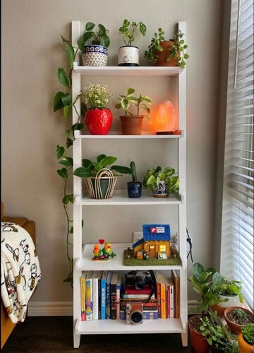  Pg For Rent in Viraj Khand