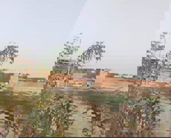 Plot For Sale in Chaumuhan