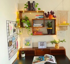 Pg For Rent in Vineet Khand