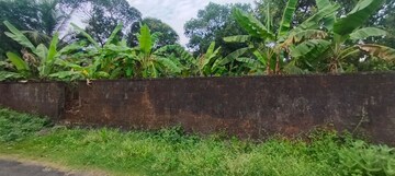  Plot For Sale in Chembukkav