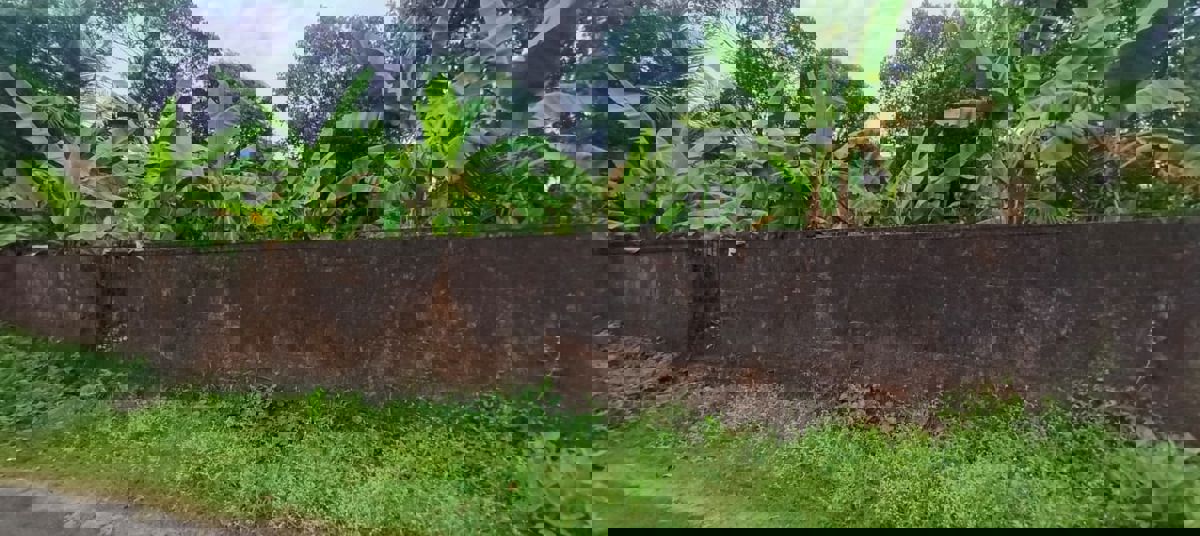 Plot For Sale in Chembukkav