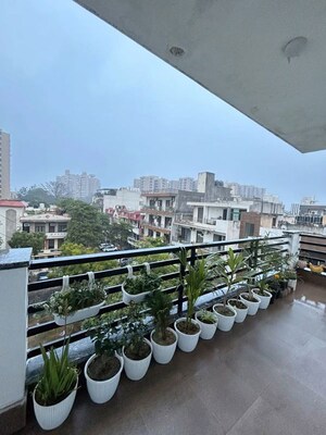 Room in  Pg at Vineet Khand – for Rent