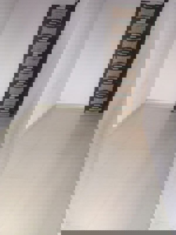 1 BHK Apartment For Rent in Pushpalata 