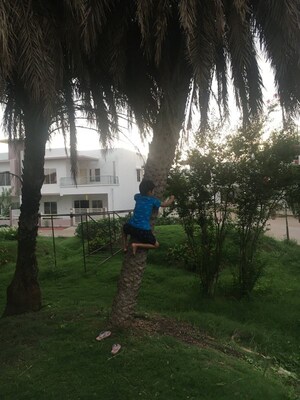 4 BHK Independent House – Garden View at Bagli Village - for Rent