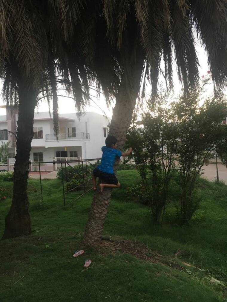 Garden, bagli village 4 Bedroom 1500 Sq.Ft. Independent House In Bagli Village Bhopal 9730209