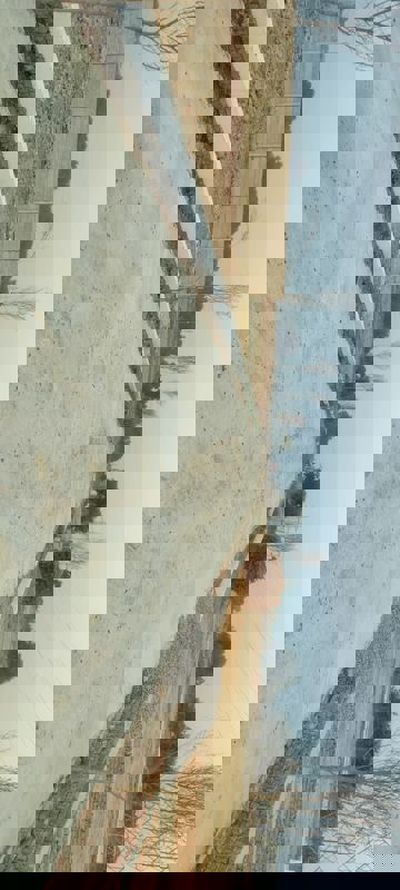 Plot For Sale in Rameshwaram City 