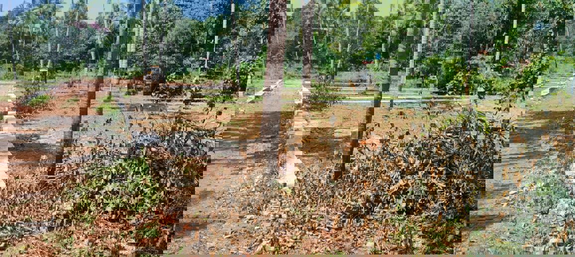 Plot For Sale in Mannuthy