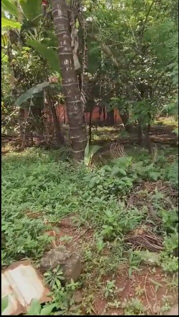 Plot Area in  Plot at Mannuthy – for Sale