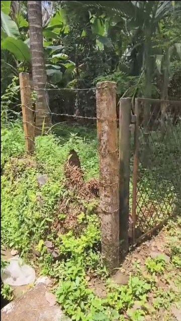 Plot Area in  Plot at Mannuthy – for Sale