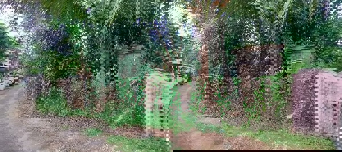 Plot For Sale in Villadam