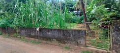 Plot For Sale in Viyyur