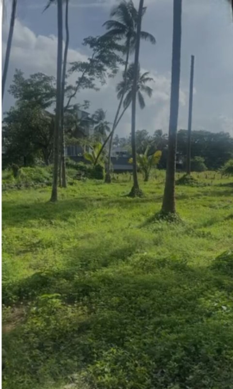 undefined, cheroor  7405 Sq.Ft. Plot In Cheroor Thrissur 9730363