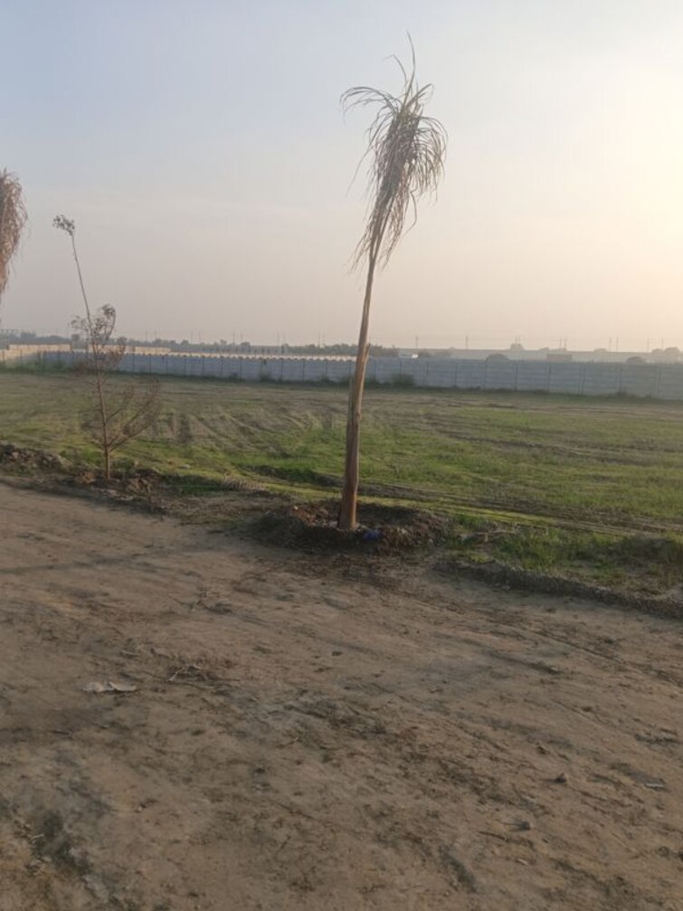 undefined, dadasiya  1000 Sq.Yd. Plot In Dadasiya Faridabad 9730367