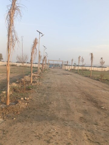 Plot Area in  Plot at Dadasiya – for Sale