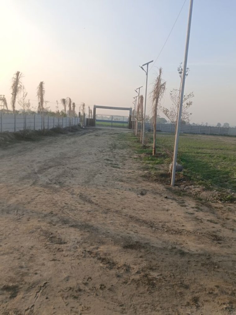 undefined, dadasiya  1000 Sq.Yd. Plot In Dadasiya Faridabad 9730367