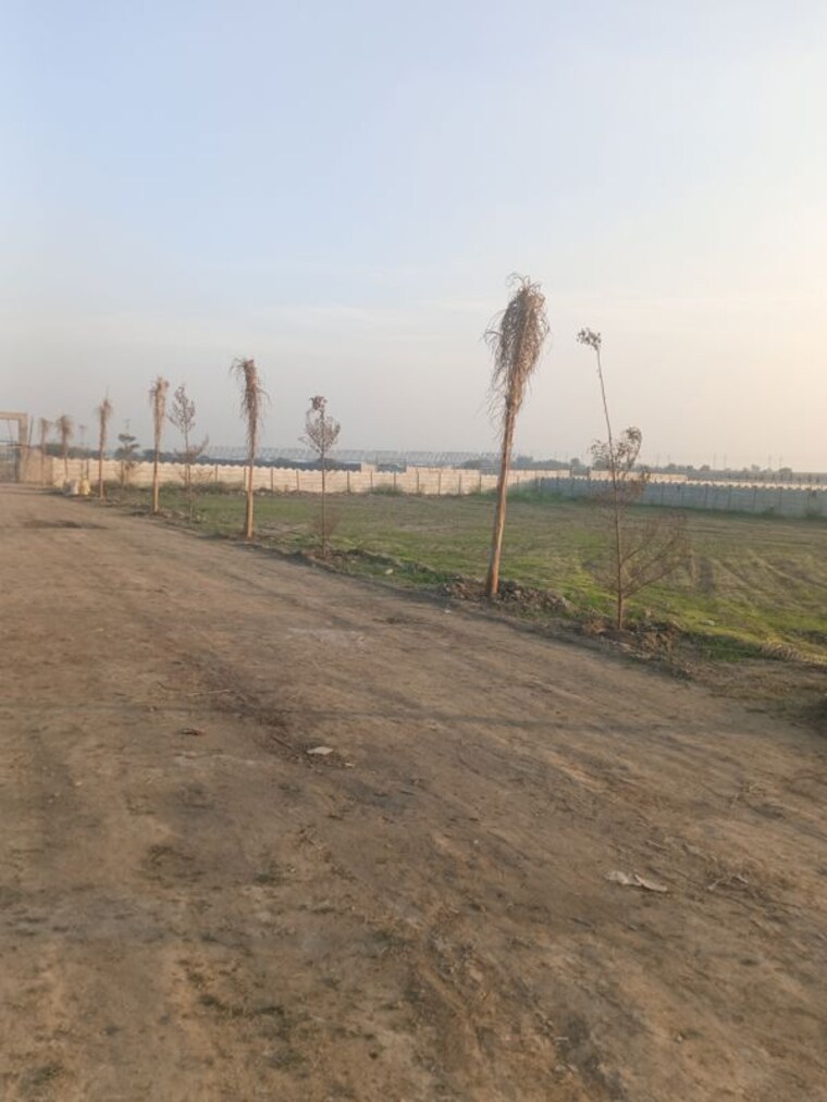 undefined, dadasiya  1000 Sq.Yd. Plot In Dadasiya Faridabad 9730367