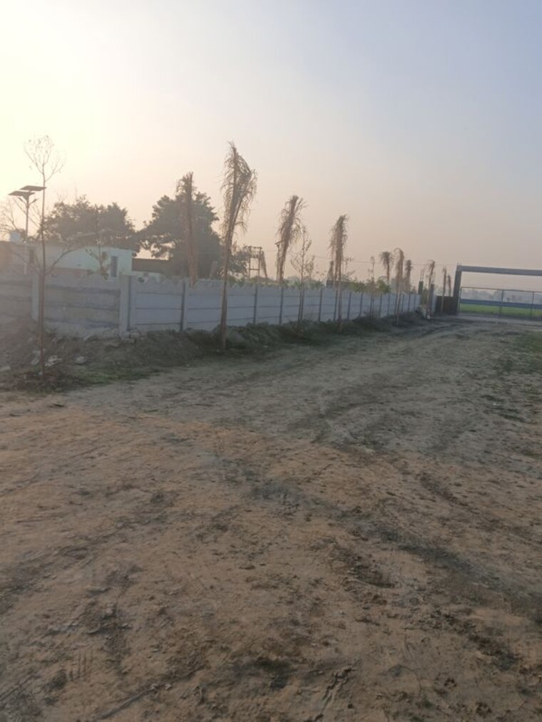 undefined, dadasiya  1000 Sq.Yd. Plot In Dadasiya Faridabad 9730367