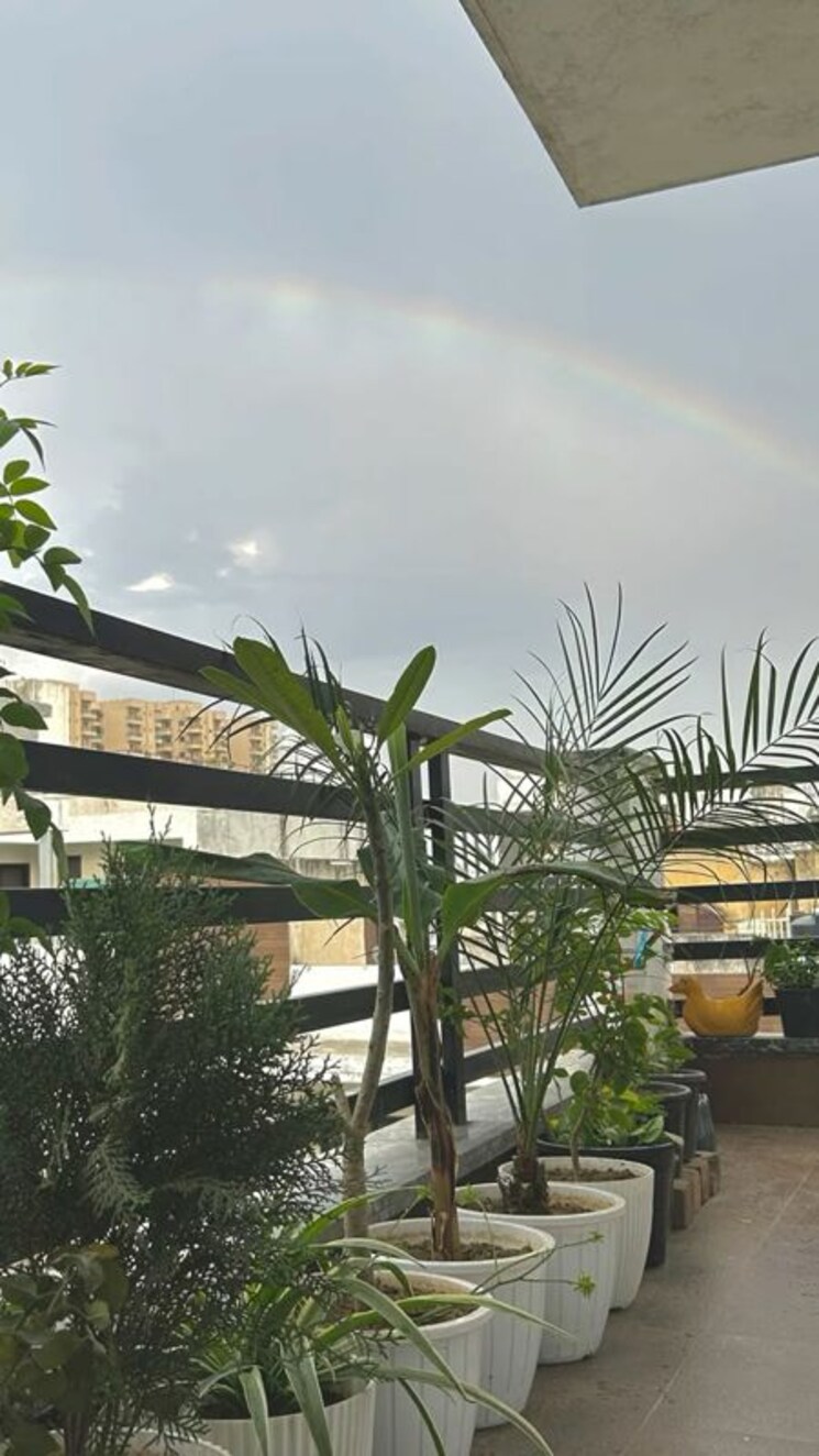 Room, vineet khand Pg For Girls In Vineet Khand 9730380