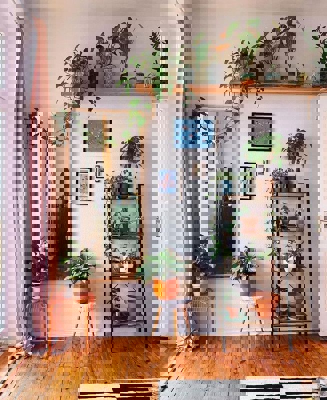 Pg For Rent in Navya Girl Pg 