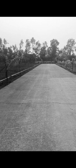 Plot For Sale in Biharigarh