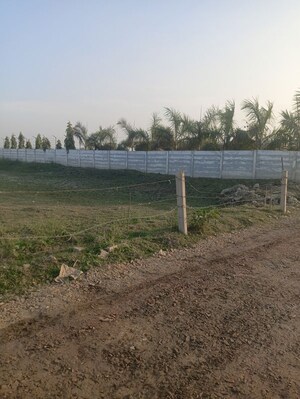 Plot Area in  Plot at Dadasiya – for Sale