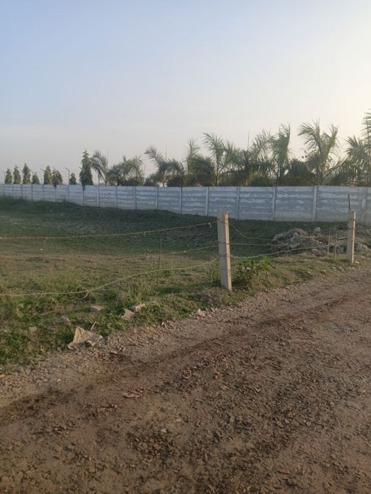 undefined, dadasiya  1008 Sq.Yd. Plot In Dadasiya Faridabad 9730464
