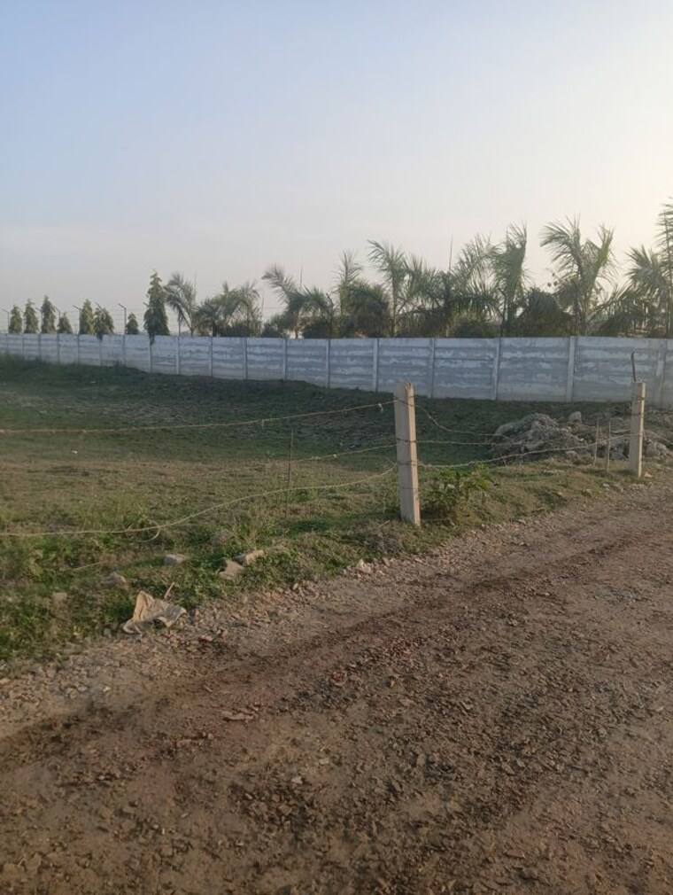 undefined, dadasiya  1008 Sq.Yd. Plot In Dadasiya Faridabad 9730464