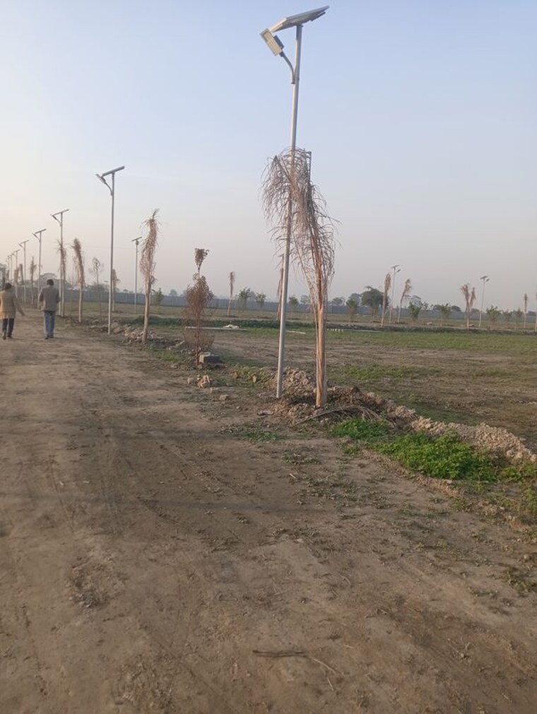 undefined, dadasiya  1008 Sq.Yd. Plot In Dadasiya Faridabad 9730464