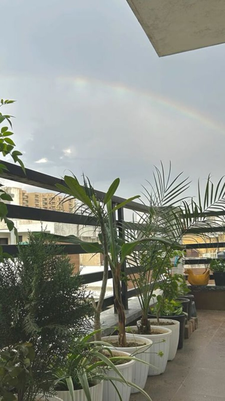 Room, vineet khand Pg For Girls In Vineet Khand 9730475