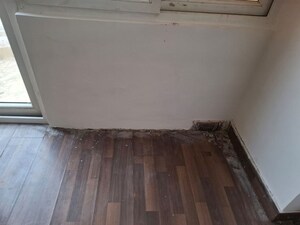 Furnished Amenities in 3 BHK Apartment at Tulip Petals, Sector 89 – for Rent