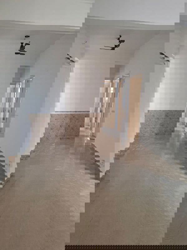 3 BHK Apartment For Rent in Tulip Petals