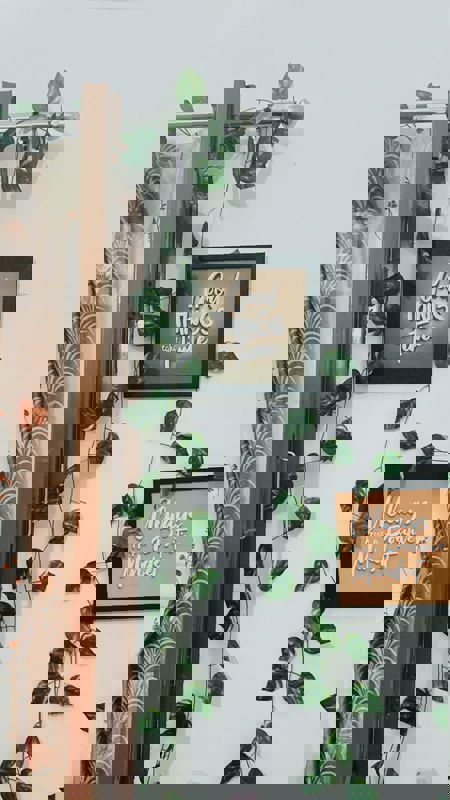 Pg For Rent in Kajal Girls pg