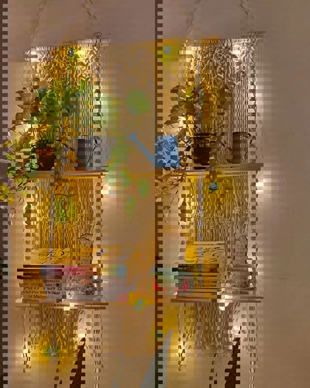 Pg For Rent in Vanshika Girls pg