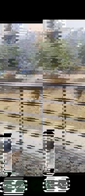 4 BHK + Study Room Builder Floor For Rent in TDI The Retreat