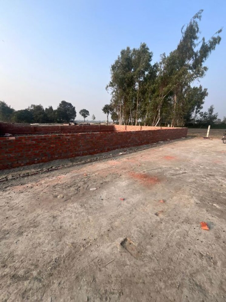 undefined, rohania  800 Sq.Ft. Plot In Rohania Varanasi 9730706