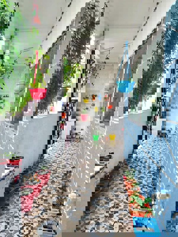 Pg For Rent in Yashika Girls pg