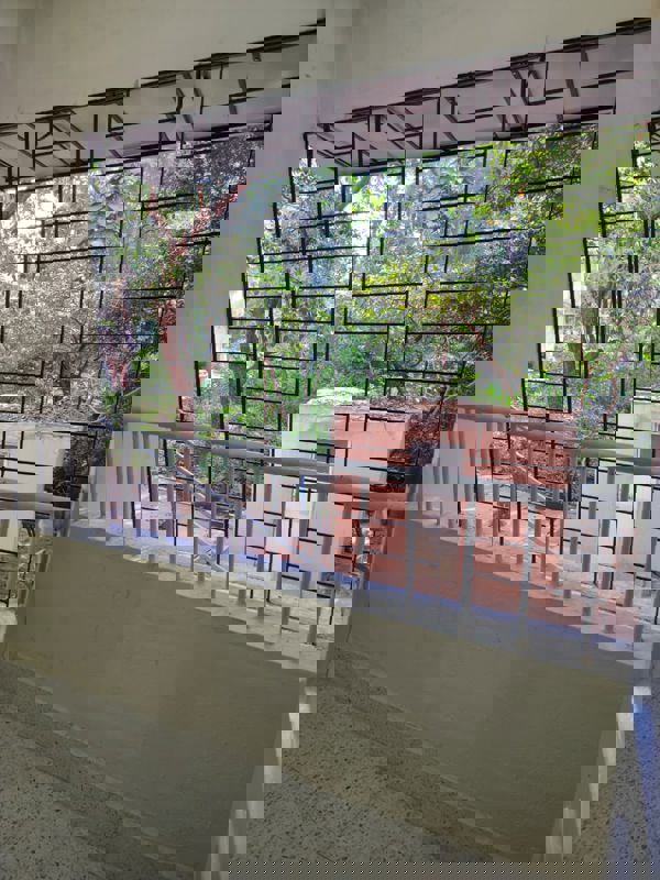 1 BHK Apartment For Rent in Amaltas CHS Vasant Vihar