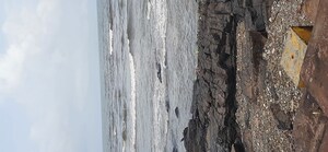 3 BHK Apartment For Sale in Bandra West