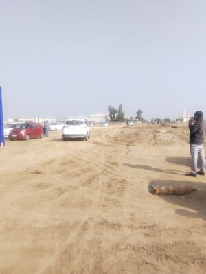  Plot – Exterior View View at Tonk Road - for Sale