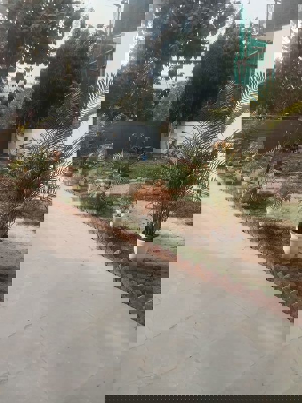 3 BHK + Pooja Room Independent House For Rent in RWA Apartments Sector 72