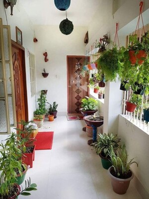 Terrace in  Pg at Viraj Khand – for Rent