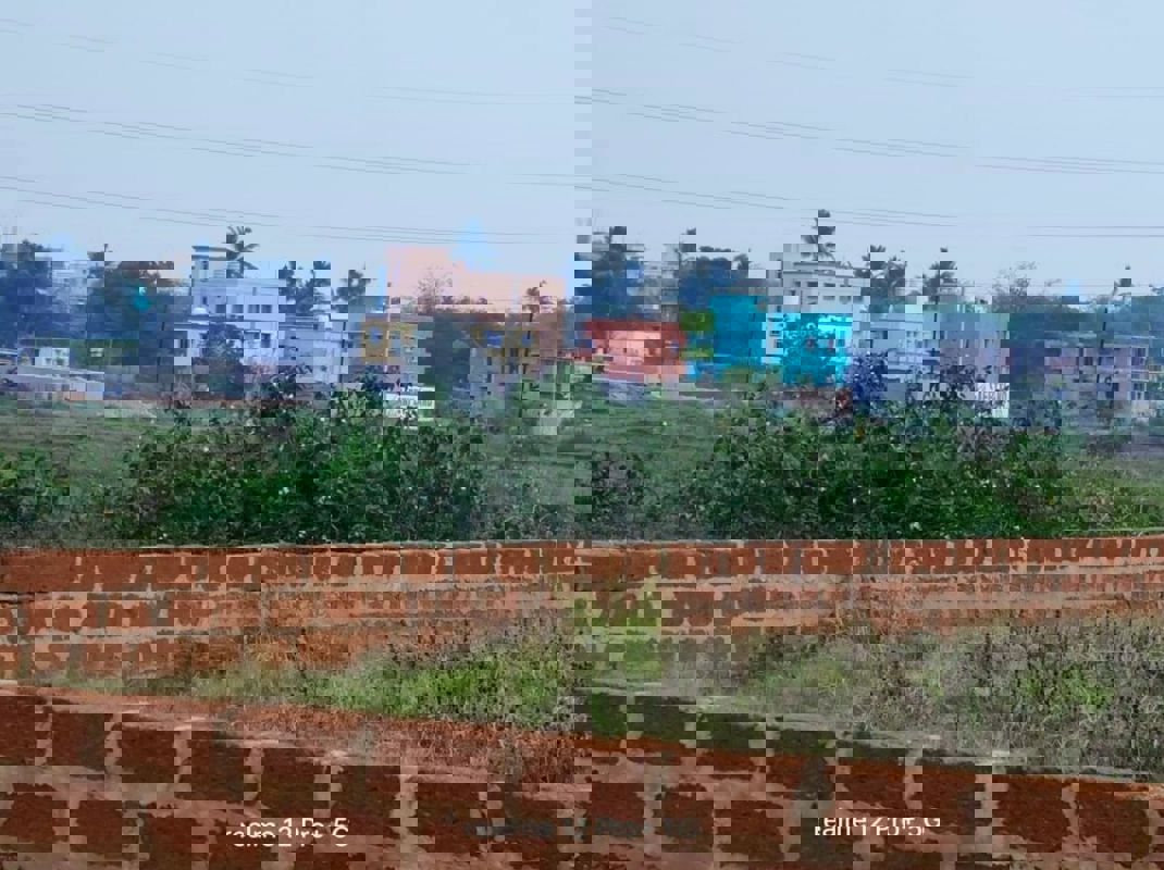 Plot For Sale in Safety Land