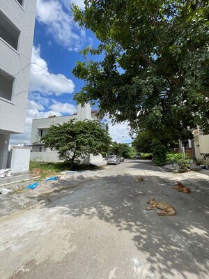 3 BHK Builder Floor – Exterior View View at Poorna Pragna Layout - for Sale