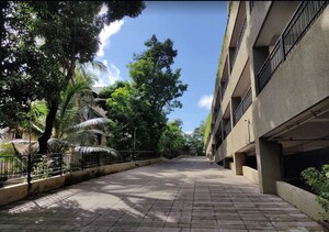 3 BHK Apartment For Rent in DLH Orchid, Andheri West