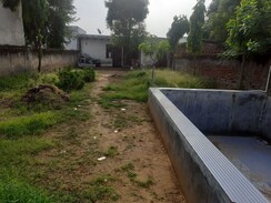Plot For Sale in Sadrana