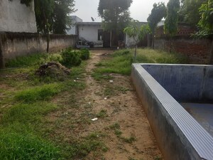 Plot Area in  Plot at Sadrana – for Sale