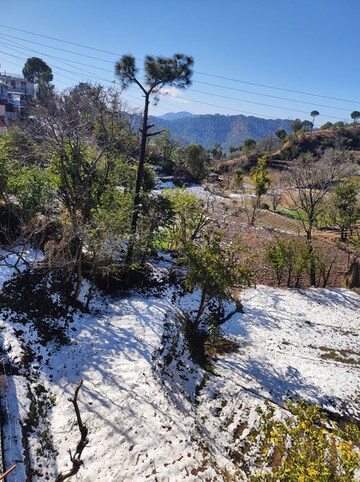  Plot – Garden View at Kumarhatti - for Sale