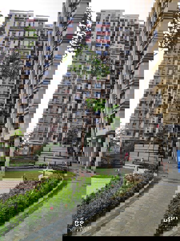 2.5 BHK 920 Sq.Ft. Apartment in Primarc Southwinds