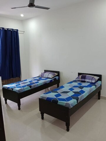  Pg For Rent in Sector 144