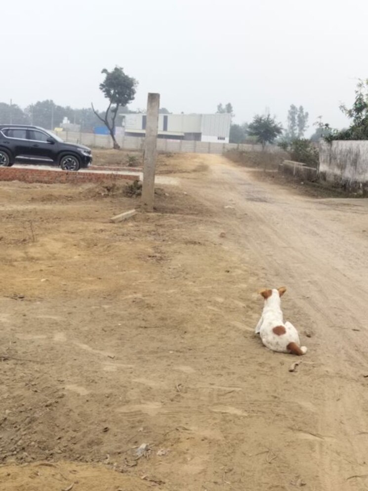 undefined, gomti nagar  1802 Sq.Ft. Plot In Gomti Nagar Lucknow 9732193